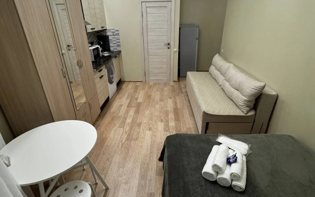 Квартира Студия в Центре СПБ на Мытнинской 7