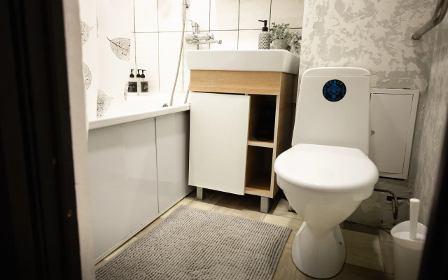 Dvukhkomnatnye v Tikhom Meste v Tsentre Apartments