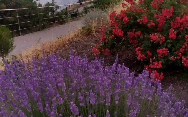 Апартаменты на ш. Фиолентовское, 134к5