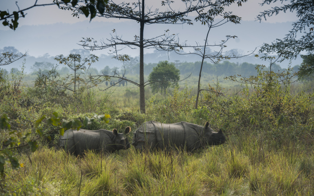 Отель Sarang Wildlife Sanctuary