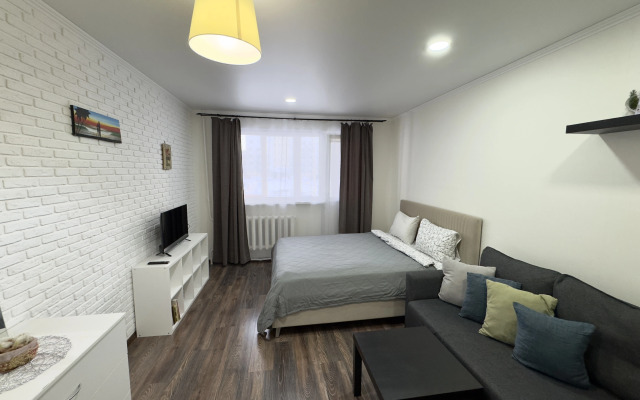 Na Ulitse Mira 29 Flat