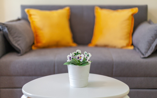 Апартаменты  RentPlaza на Улице Революционной-Центр