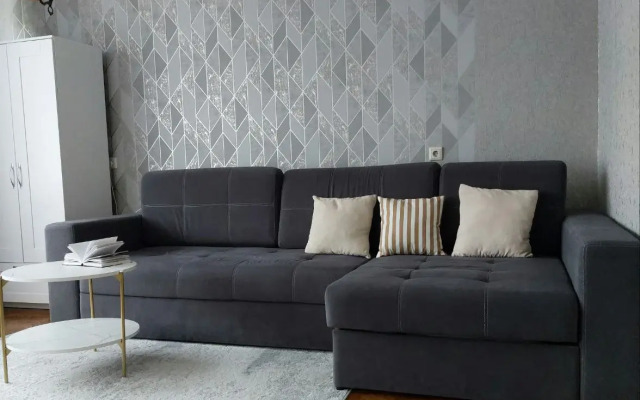 Апартаменты уютные и вместительные у самого метро Академия наук