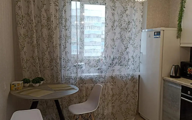 So Vsemi Udobstvami Apartment