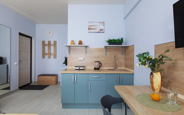 Апартаменты Студия Светлый Дом