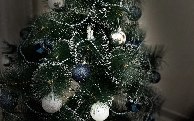 Квартира Двухкомнатная в центре Петрозаводска рядом с озером