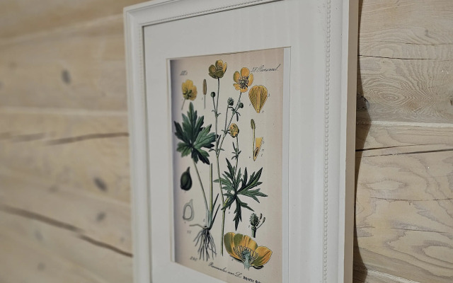 Частный дом Лякабанья