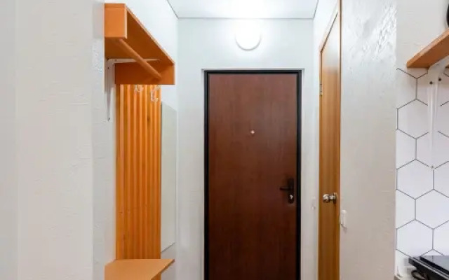 Pushkinskiy Flat 1