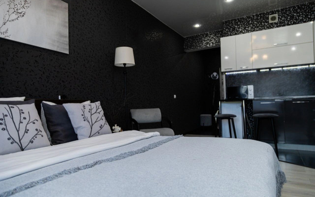 Квартира Стильная студия Black and White