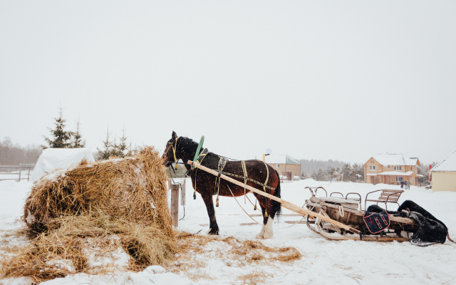Agroturisticheskij Kompleks El Rancho Hotel