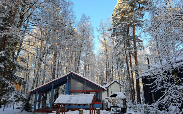 Частный дом в Заветах Ильича с розовой гостиной
