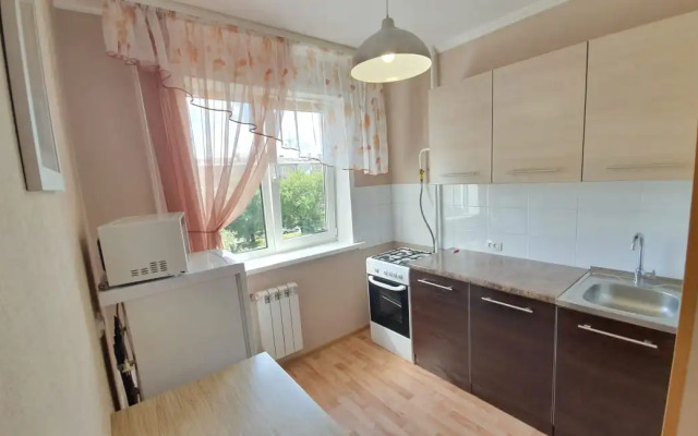 Zhdem Gostey Lenina 49 Apartments