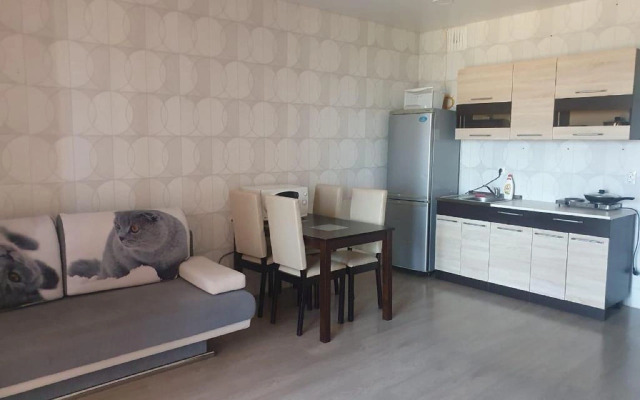 Квартира на Красном проспекте 311