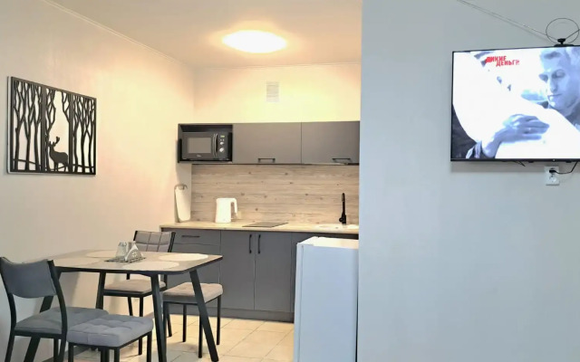 Апартаменты Квартира в центре Петрозаводска