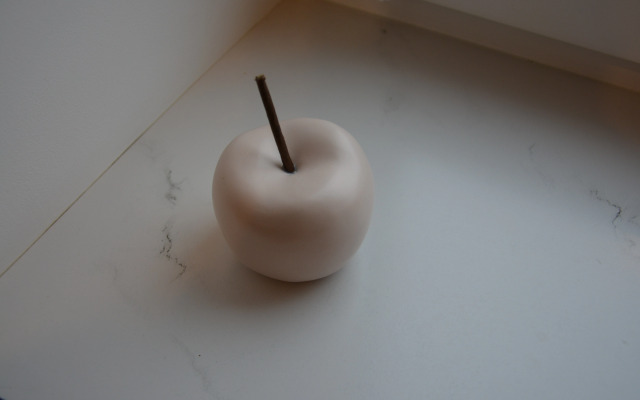 Апартаменты Светлая студия Лофт