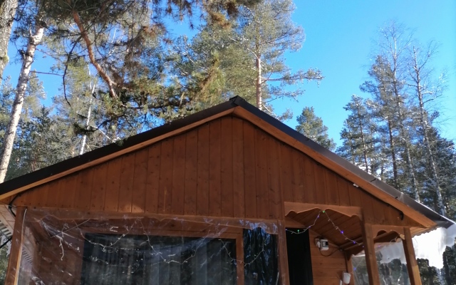 Шале Лес хрустальной песни