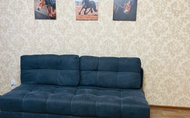 Квартира я дома на ул Черокманова 2