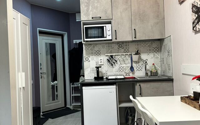 Studiya v Tsentre na Fontanke dlya Troikh Flat