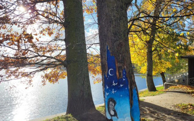 Квартира в центре у озера