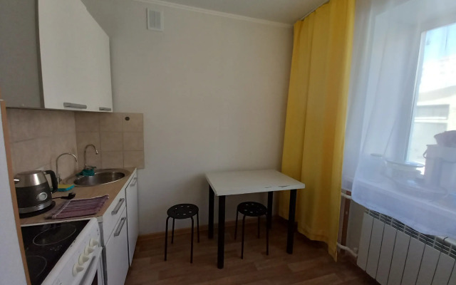 Odnokomnatnaya v centre Flat
