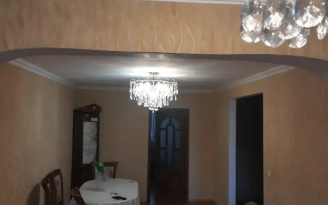 Delfin Spb Flat