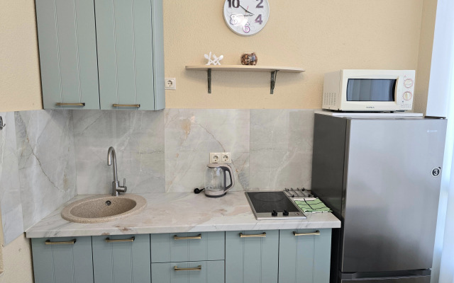 Апартаменты Чистые пруды