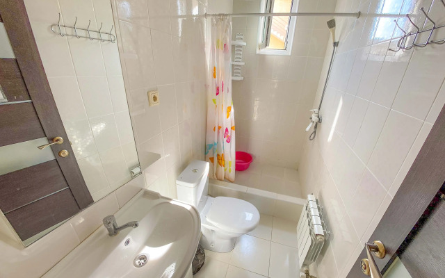 Апартаменты Адлер Чкалова Улица д 71 №8 Альфагид