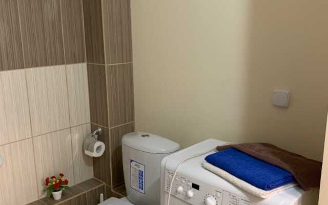 Апартаменты Apartanik