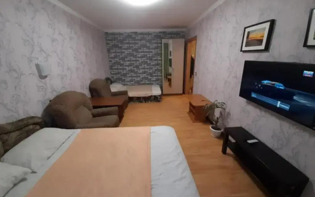 Апартаменты с 1 комнатой с отличным ремонтом (КВАРТИРА51)