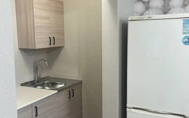 Квартира в Спальном районе Новосибирска