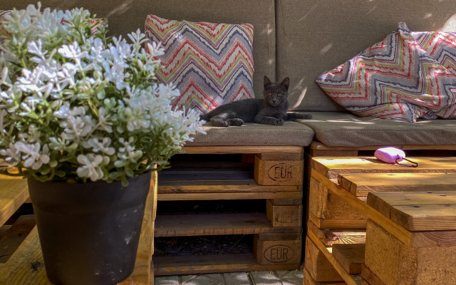 Cats&beds Hostel