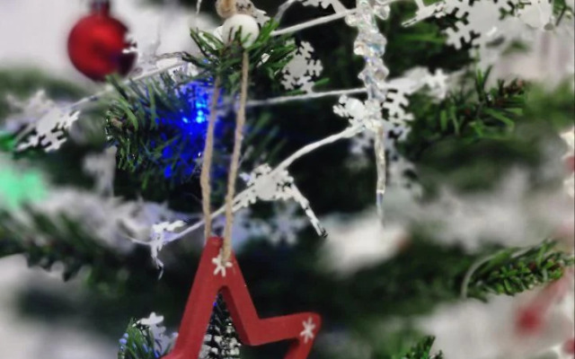 Апартаменты Мики Интуит