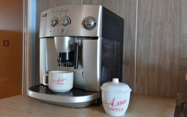 Mini-Otel Hotel "alye Parusa"