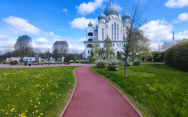 Zefirnye oblaka Mechnikova Al'brekhta Botkinskaya Skoliolodzhik Scolio Flat