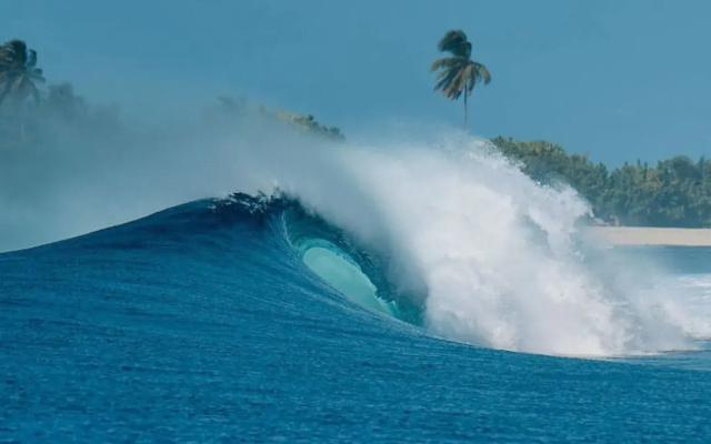 Курортный отель The Maverick Surf and Dive