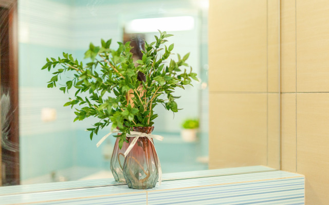 Апартаменты двухкомнатные в центре