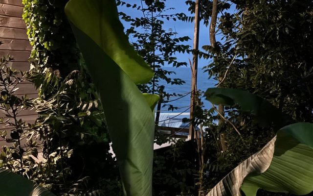 Mini-Otel Aqua Palm Resort	