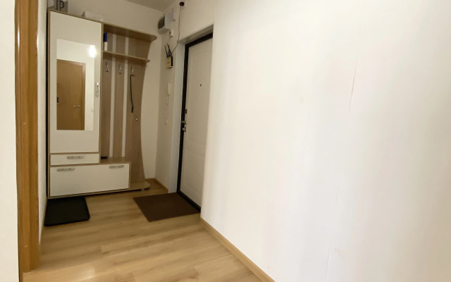 Апартаменты для Дорогих Гостей в Песочном