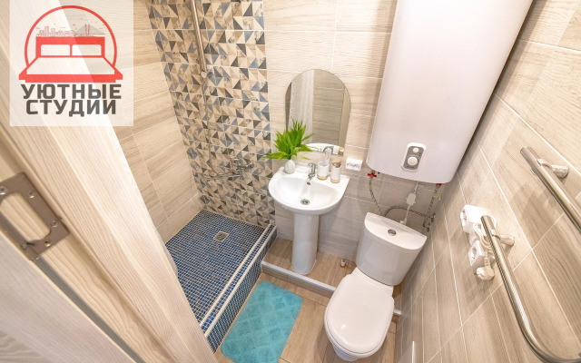 Квартира-студия на Некрасовской