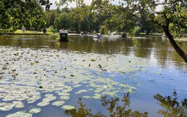 Квартира на Московской 66