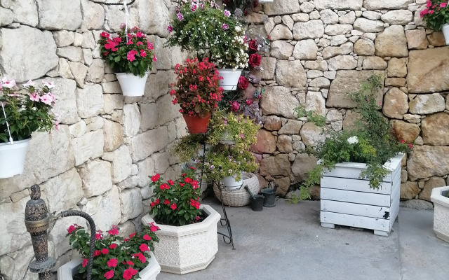 Zhidkova Guest house