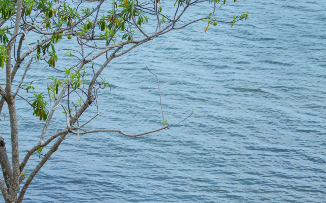 Tri Koggala by Amaya Hotel