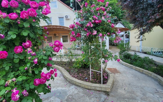 Uyutny Domik Guest house