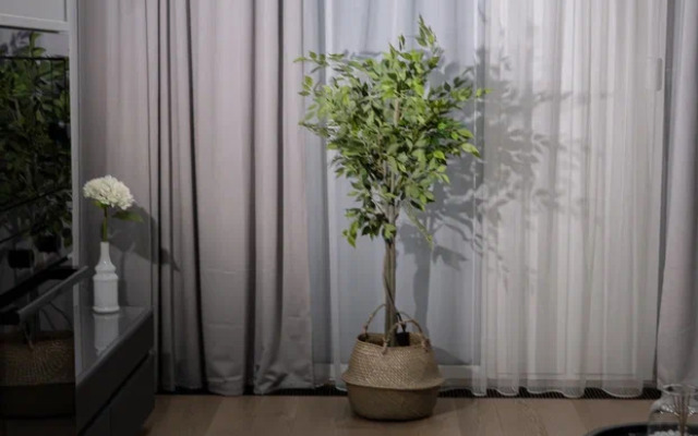 Апартаменты Алис Luxe Complex