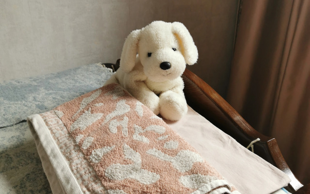 V Tsentre S Konditsionerom I Pianino Flat