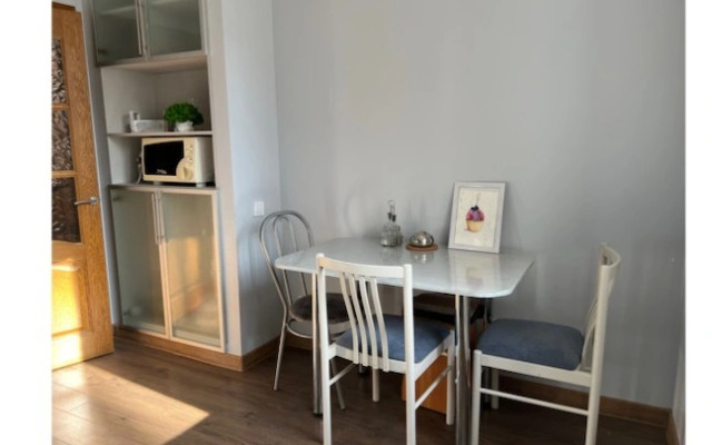 Viktoriya na Frunze Apartments