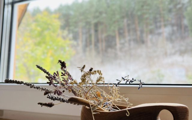 Шале А-фрейм с видом на горы и лес