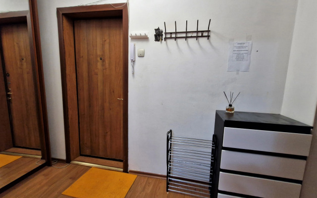 Bol'shaya krasivaya kvartira v tsentre u Administratsii Flat