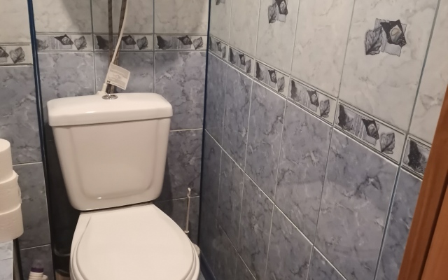 Апартаменты Трехкомнатная на Каштаке