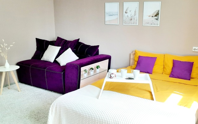 Odnokomnatnaya V Tsentralnom Rayone Goroda Flat